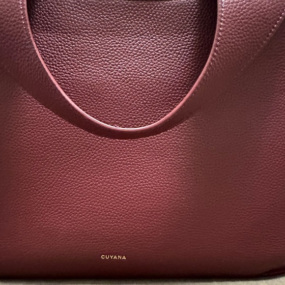 Cuyana Mila Satchel Cherry - Picture 3 of 16